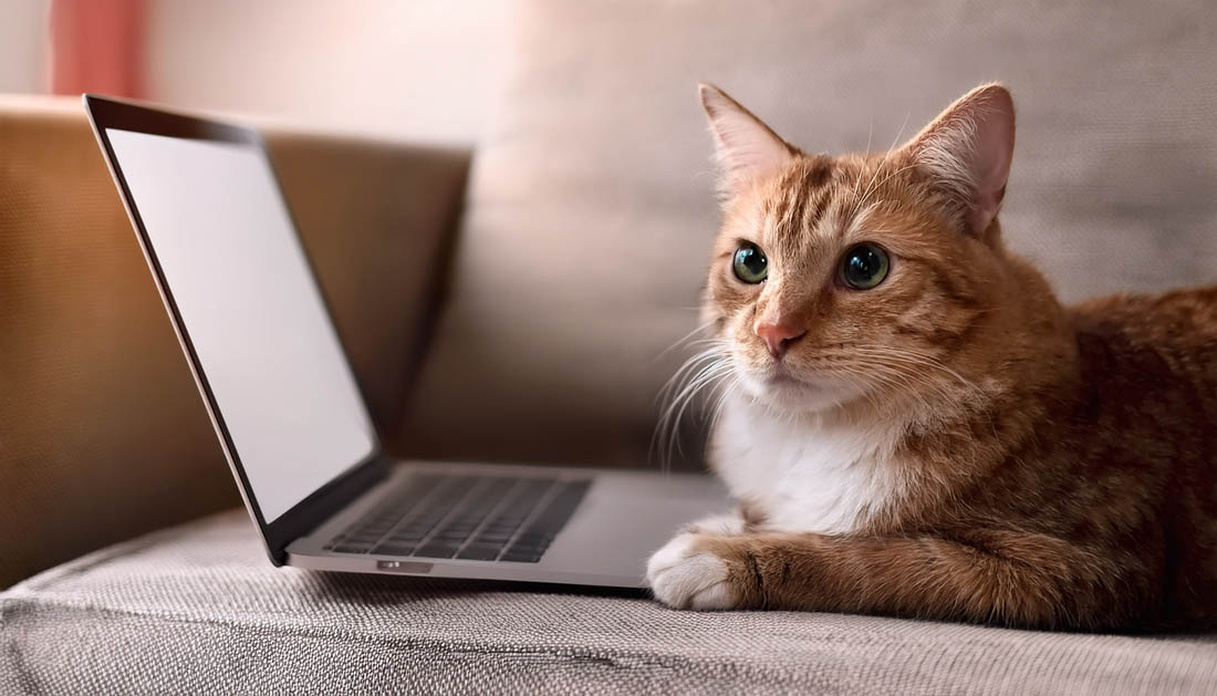 MPU-Vorbereitung von daheim aus