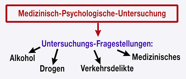 Die 4 Fragestellungen der MPU